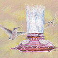 Humming Birds